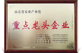 山东省农业产业化重点龙头企业